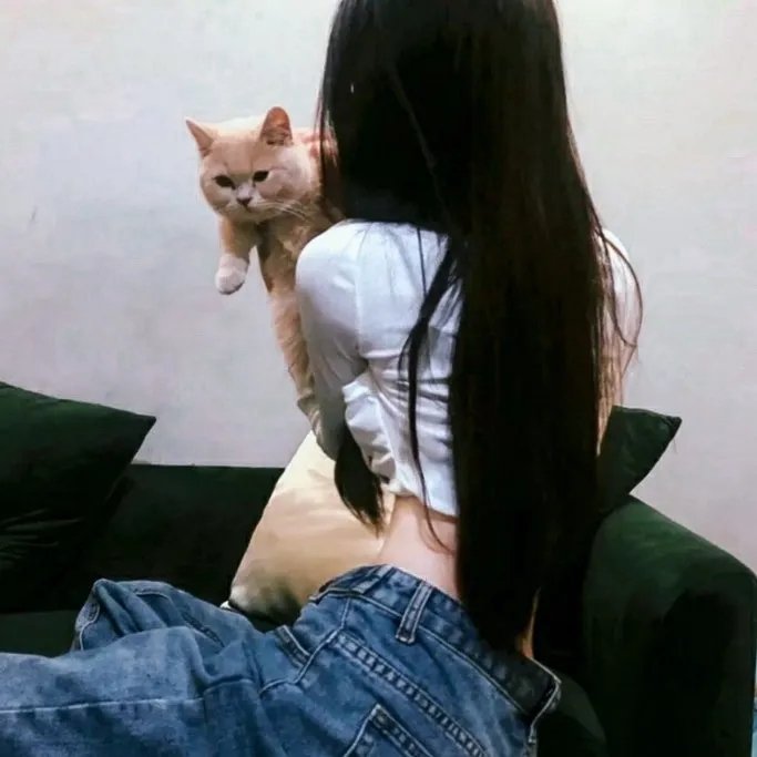 完美革命